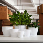 Pots fleurs rayures verticales résine bleu vert blanc soucoupe drainage moderne