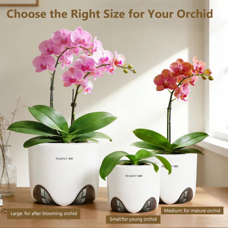 pots orchidées blancs modernes perforations ventilation racines aérationintérieurexterne