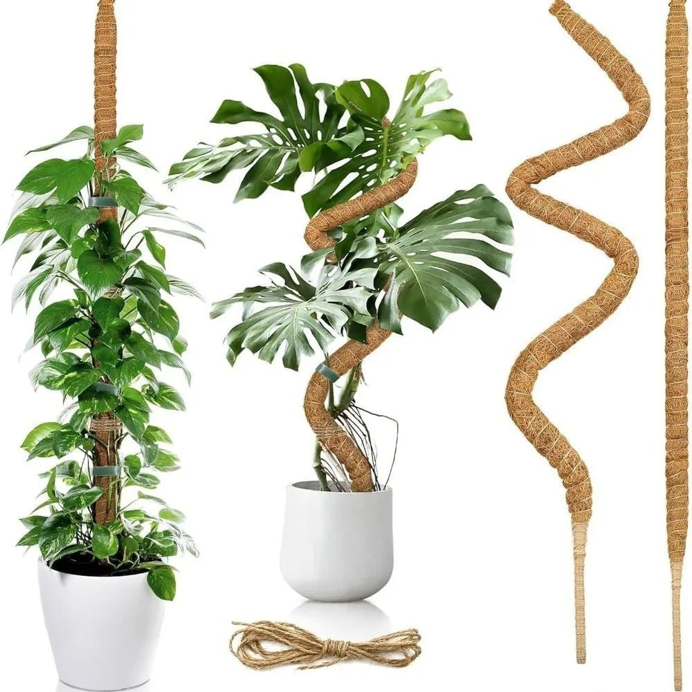 support plante grimpante marron cordelette tressée adhésif naturel rustique pot fleur longueur 63cm