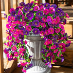 décoration extérieure mariage pot suspendu fleurs soies gris classiqueextérieur anniversaire mariage