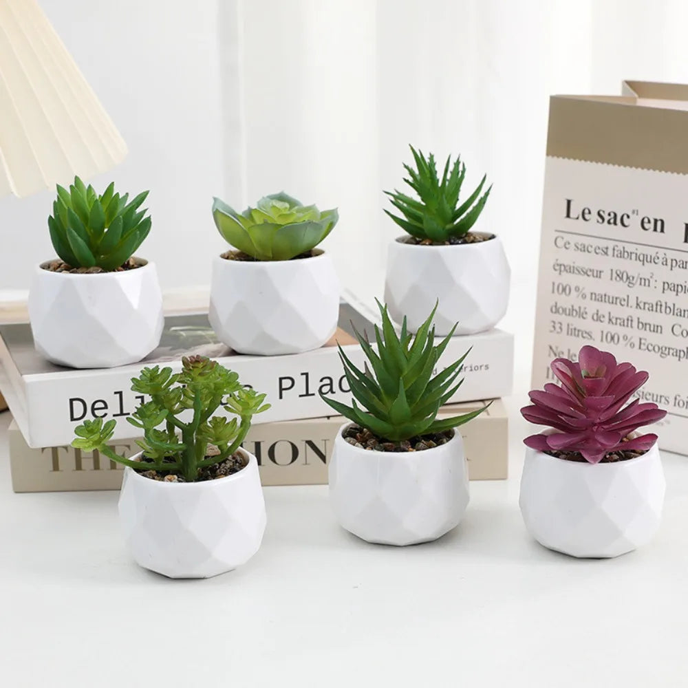 plantes artificielles bonsaï modernes mini jardins intérieurs pots succulentes couleurs vives minimalisteextérieur