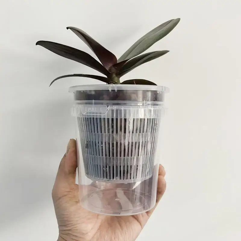 pots plante transparents modernes grille drainage auto absorption d'eau 10cm 12cm 15cm