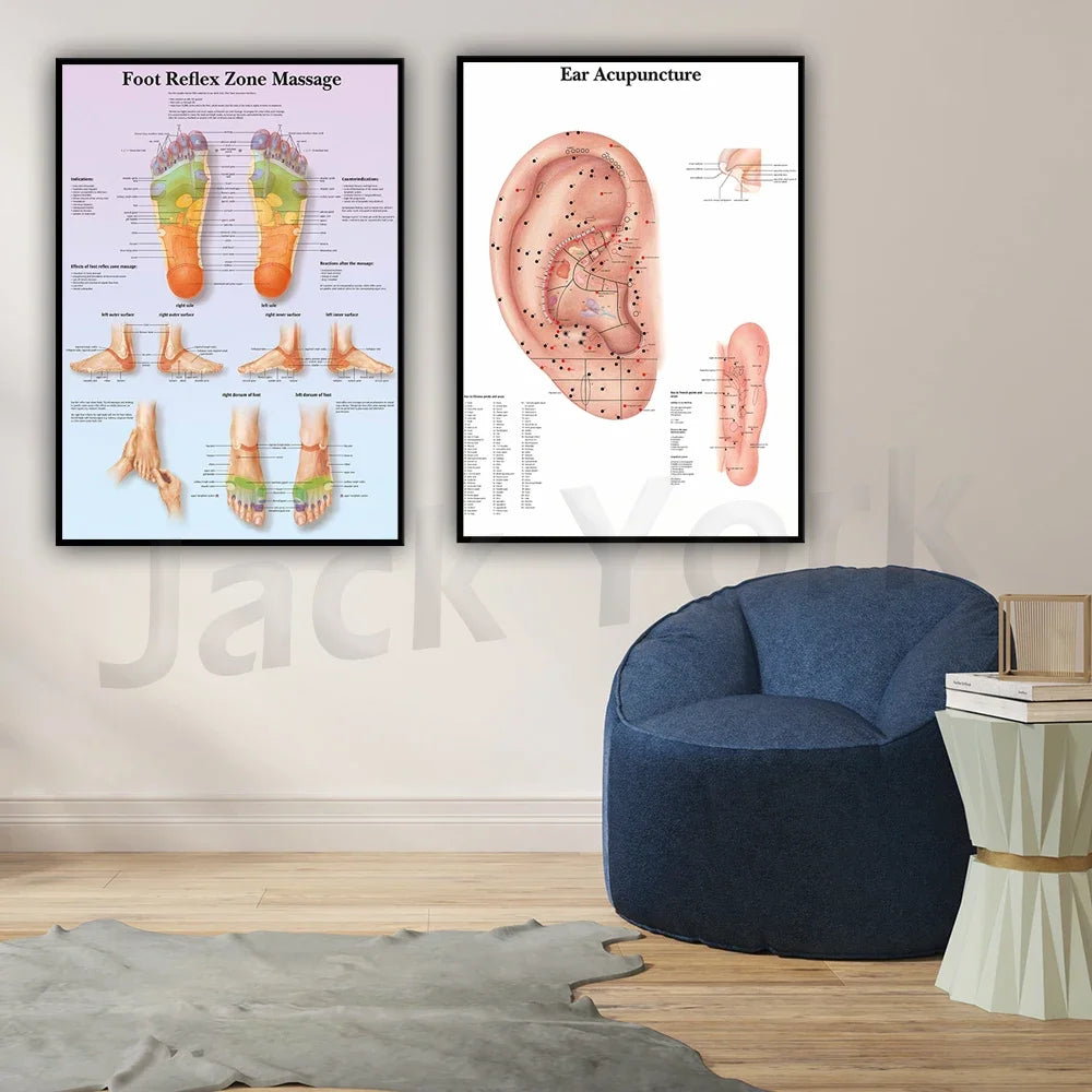 L'image présente deux affiches sur la réflexologie plantaire et l'acupuncture auriculaire, avec un fauteuil confortable et une table basse à proximité, créant une ambiance propice à la détente et aux soins.