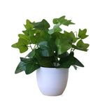 plantes artificielles vertes bonsaï ornement accessoires photo scindapsus pot rotin extérieur moderne