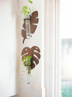 Support mural moderne feuille Monstera clips métalliques plante verte tube verre transparent chambre salon
