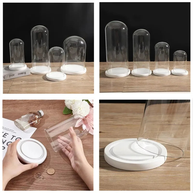 cloches verre transparentes moderne base bois blanc antipoussiere boite exposition 20cm diametre