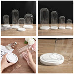cloches verre transparentes moderne base bois blanc antipoussiere boite exposition 20cm diametre