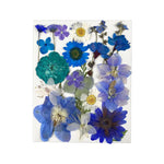 fleurs séchées naturelles bleu blanc rouge violet jaune vert décoration maison intérieur anniversaire