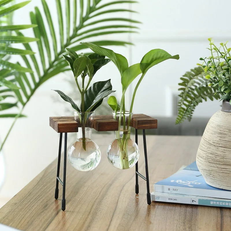 vase verre transparent support bois industriel moderne plante hydroponique décoration intérieure minimaliste
