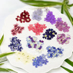 fleurs séchées violet rose blanc décor maison DIY craft nail art maquillage artisanales kit
