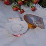 assiettes verre coquillages support fruits bijoux transparents naturels artisanal moderne