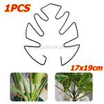 Support tiges plantes or spirale moderne fixations adhésives grandes plantes intérieures pothos philodendron monstera