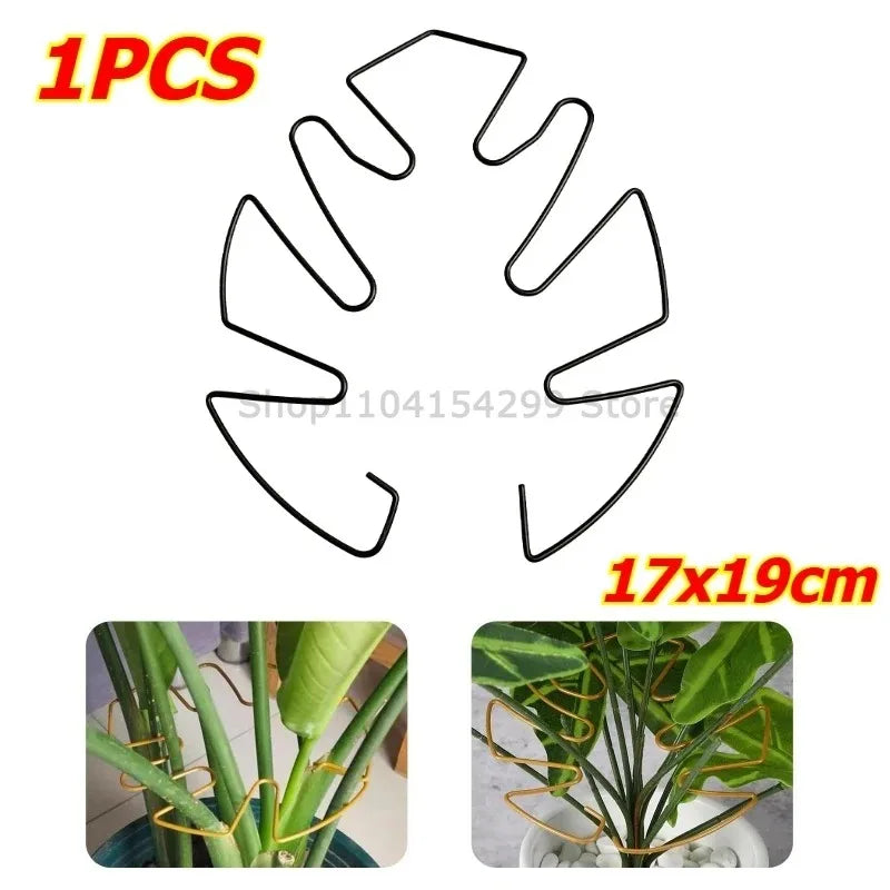 Support tiges plantes or spirale moderne fixations adhésives grandes plantes intérieures pothos philodendron monstera