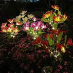 lumière solaire bouquet papillons colorés feuilles vertes moderne violet orange jaune