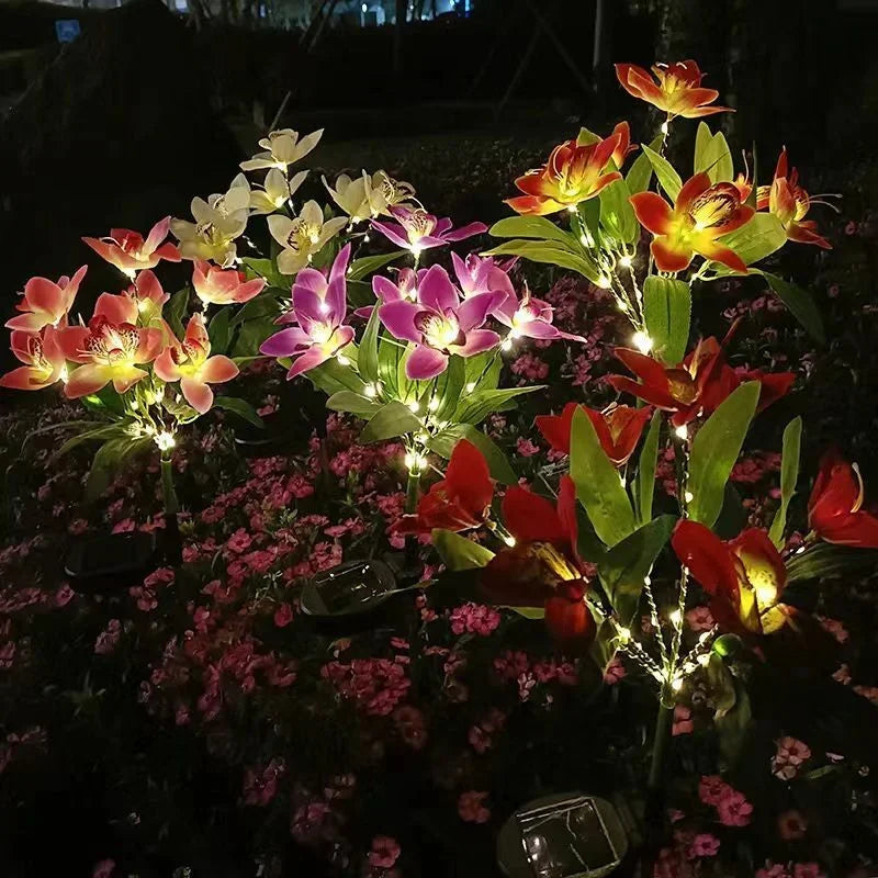 lumière solaire bouquet papillons colorés feuilles vertes moderne violet orange jaune