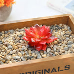 plantes succulentes artificielles vert feuilles pointues réaliste gravier boîte bois extérieur anniversaire exposantDecoration