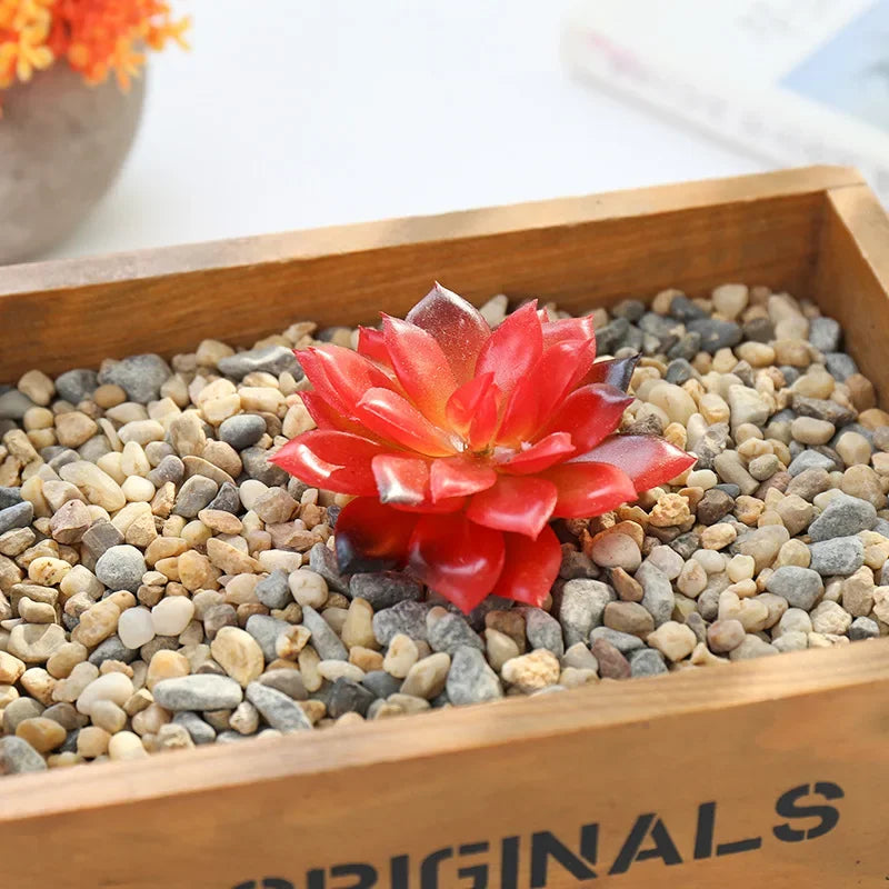 plantes succulentes artificielles vert feuilles pointues réaliste gravier boîte bois extérieur anniversaire exposantDecoration