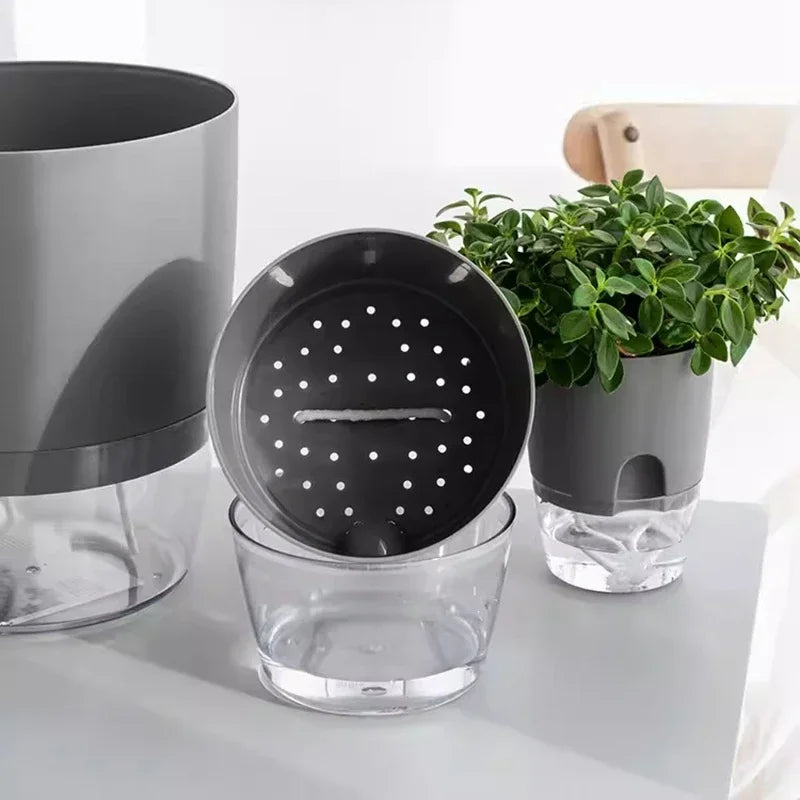 Pot auto arrosant hydroponique moderne transparent double couche coton succulenteintérieur déco jardin
