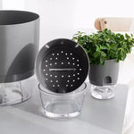 Pot auto arrosant hydroponique moderne transparent double couche coton succulenteintérieur déco jardin