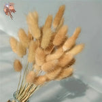 bouquet fleurs séchées plumes fines décoration intérieure mariage anniversaire rustique beigeclair naturel driedflowers