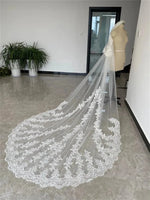 voile mariée blanc broderie florale deux couches dentelle translucide classique femme