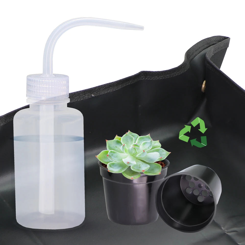 jardinière moderne pots plastique noir blanc succulente drainage plante verteintérieur minimaliste