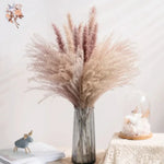fleurs séchées naturelles rose pâle décoration maison anniversaire mariage rustic