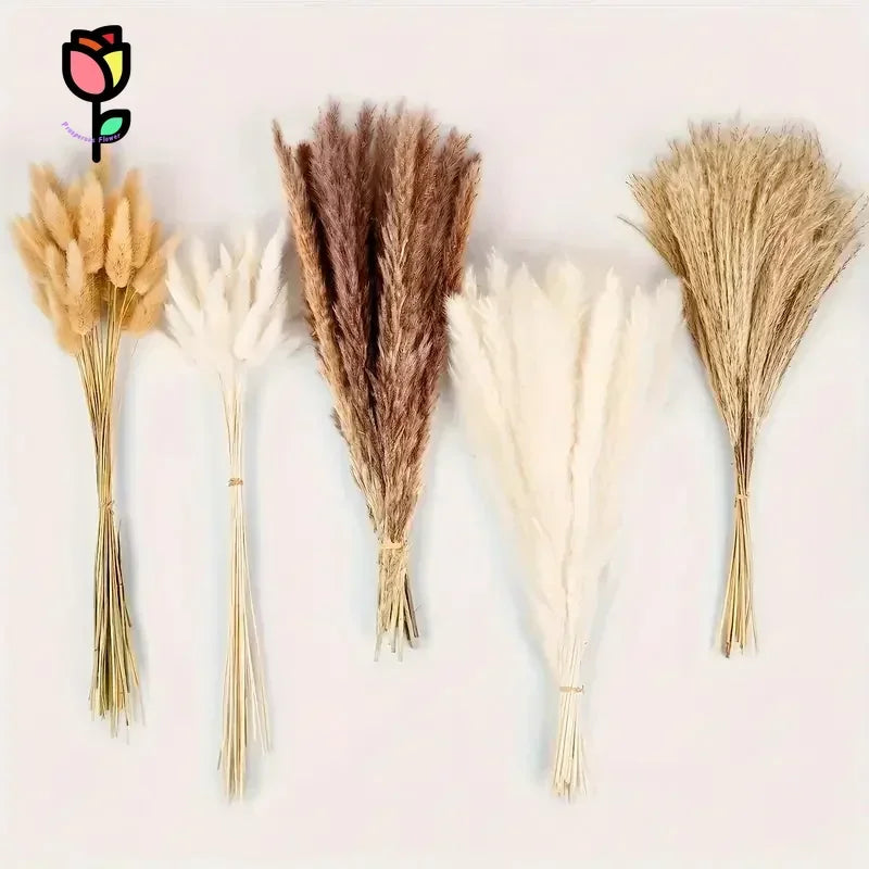 bouquet fleurs séchées naturel plumes pampa beige rustique décoration intérieure anniversaire baby shower mariage