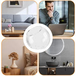 Terrarium rond moderne sur table de salon