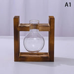 support plantes cadre bois marron verre transparent modernes vases coeurs plantes vertesintérieur décoration minimaliste