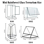 terramium verre transparent plante verte moderne naturel branchages terre inclusion