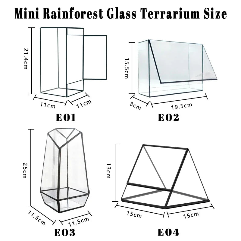 terramium verre transparent plante verte moderne naturel branchages terre inclusion