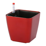 pots plante auto arrosage hydroponique blanc violet noir gris moderne