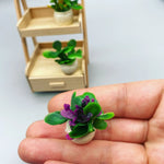 étagère plante moderne mini pots bois blanc succulentes ornement verdureintérieur