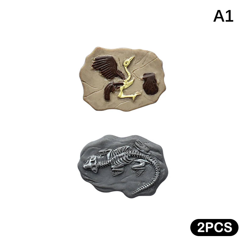 fossiles dinosaures plaques résine oiseau poisson reptile ornements maison gris beige noir realism