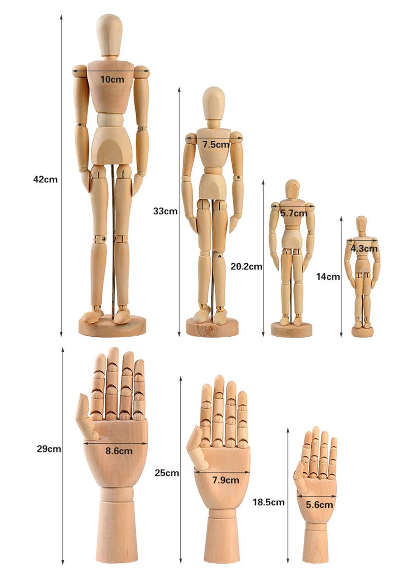 mannequins articulés bois classiques tailles diverses naturel clair base circulaire minimalistes adultes