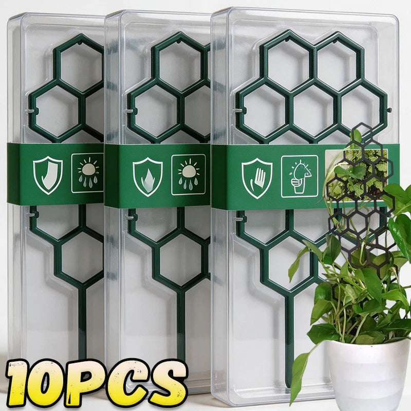 grille plantes hexagonale vert foncé moderne fixation jardin plastique