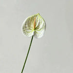 décoration intérieure plante artificielle feuilles ovales moderne vase boîte enjoy life rouge vert blanc