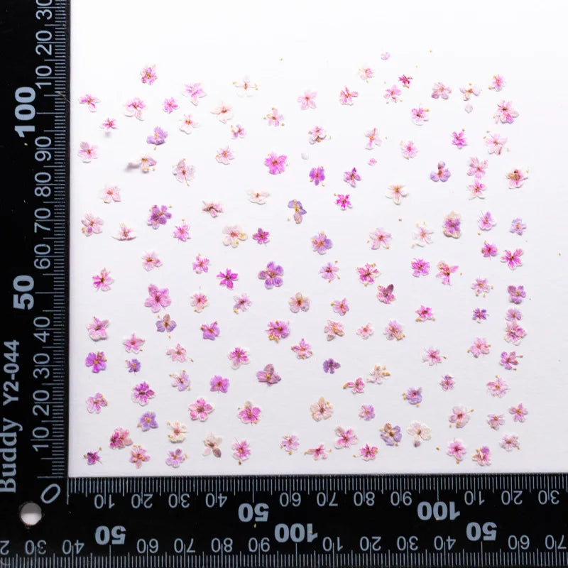 fleurs séchées naturelles bleu vert orange rose violet jaunes fleurs simples décoration diy bijoux
