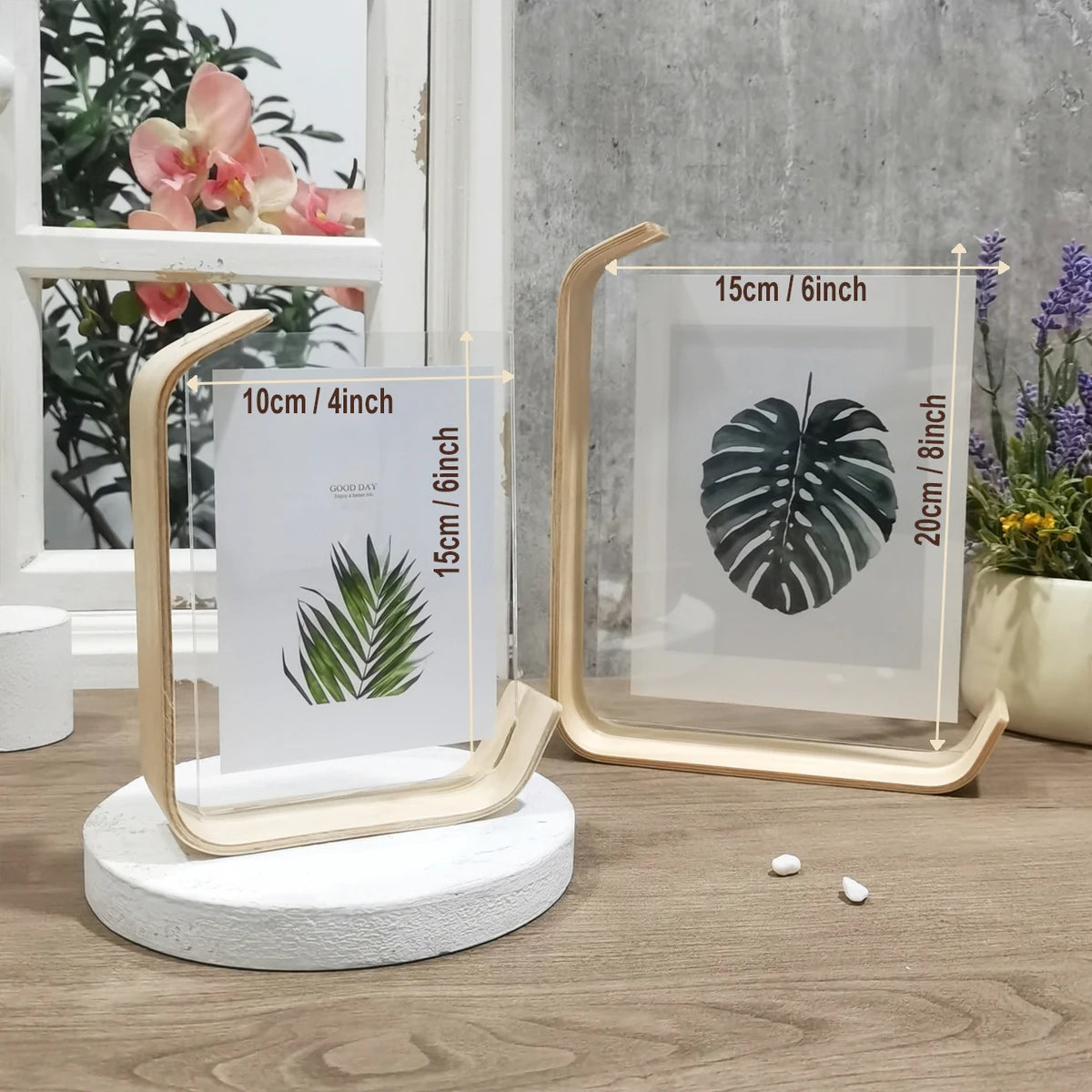 cadre photo moderne feuille tropicale transparent bois naturel 10x15cm 15x20cm adhésif minimaliste