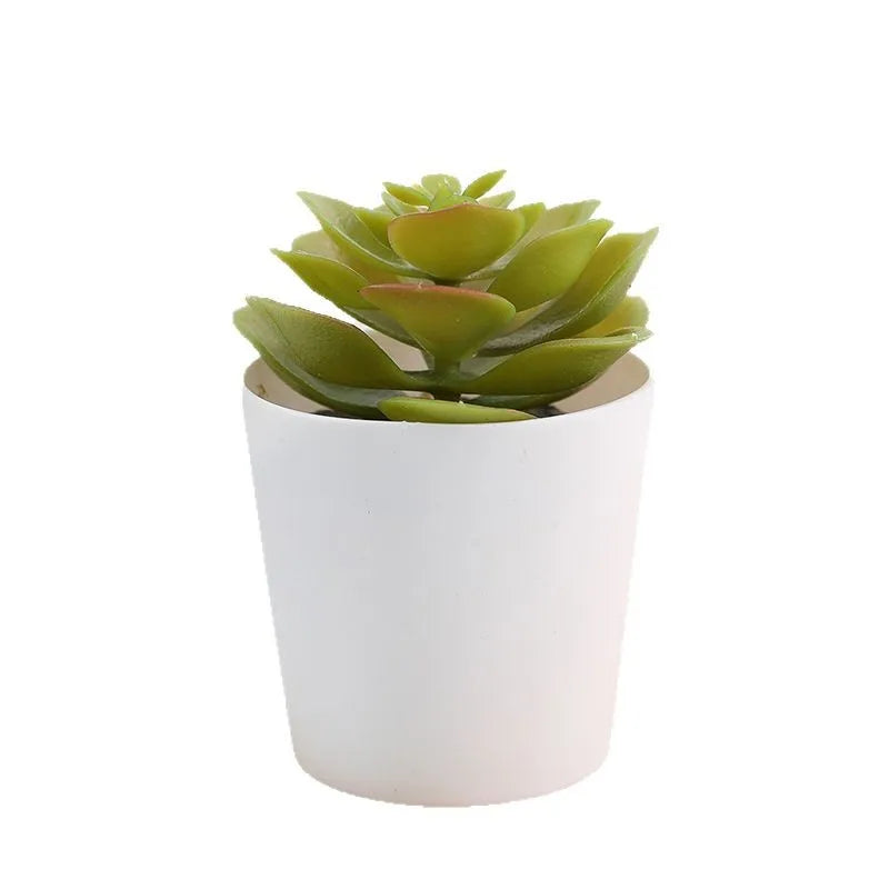 Mini cactus décoratif succulente bonsaï en rose profond pour décoration intérieure