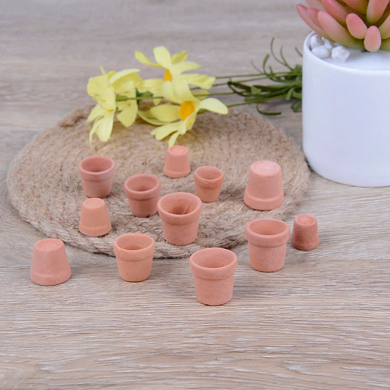 pots miniature terre cuite différents tailles fleurs jaunes plante grasse rustic