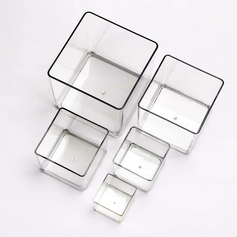 cube transparent moderne vase hydroponie plante verte sans motif minimaliste récipient acrylique