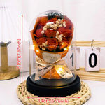 bouquet roses stabilisées cloche verre noir rose bleu violet romantiqueintérieur decorationévénement mariage