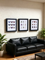 cadre photo miniature papillons insectes noir adhésif décoration halloween pâques micro paysages accessoire photo