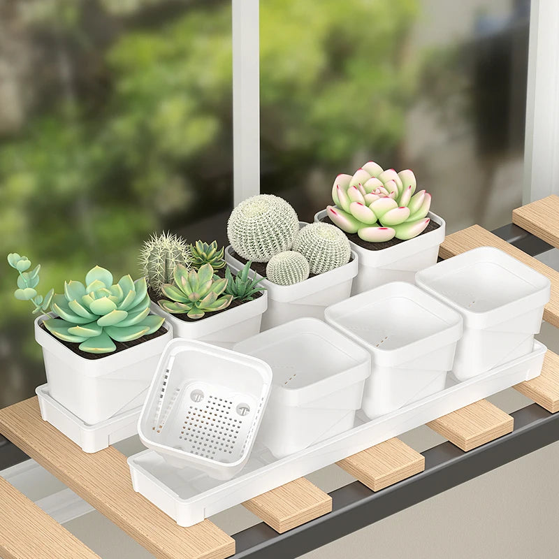petit pot fleurs blanc plastique moderne cactus succulentes plateau intégré