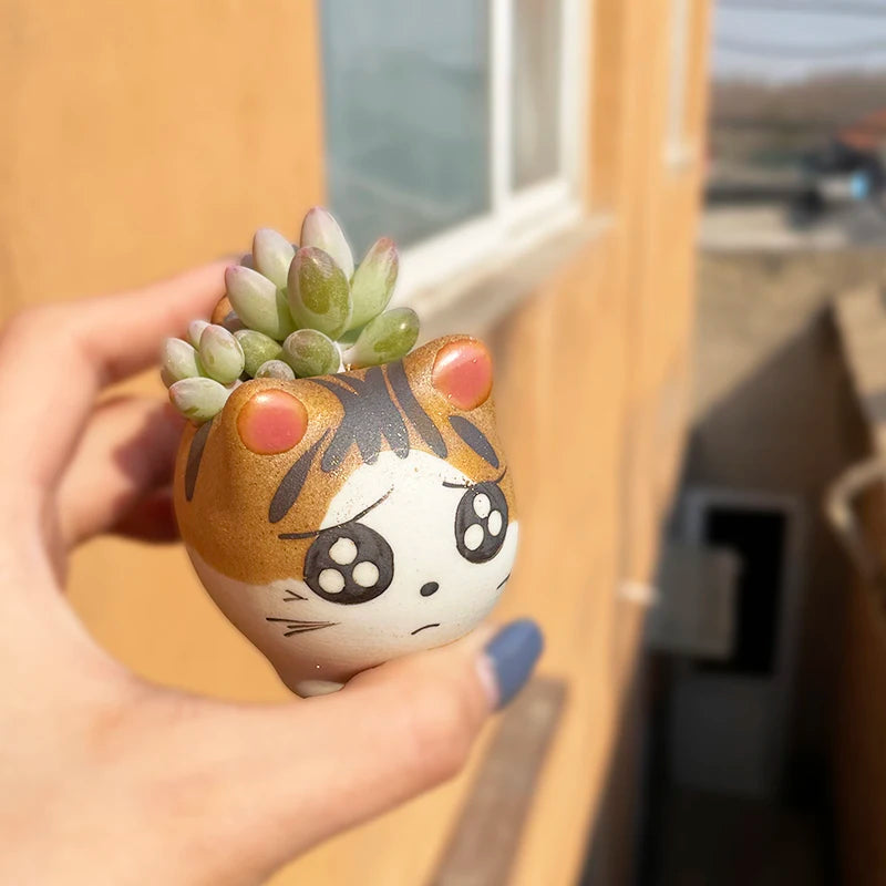 cache pot céramique porcelaine dessin animé blanc orange noir rose vert chat succulent yeux