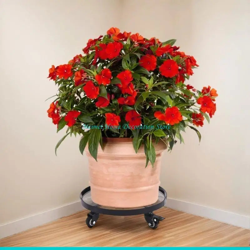 plateau roulettes industriel noir clips quatre roues transport facile plantes plateau métal fer