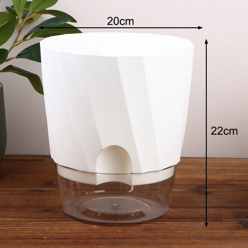 plantes vertes pot autoarrosant plastique moderne transparent feuilles brillantesintérieur opaquet