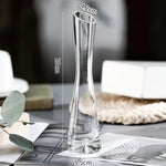 vases modernes transparents adhésifs decoration salon plantes hydroponiques simples rond